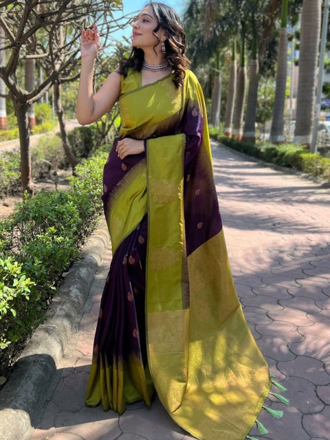 LeeliPeeri Designer Woven Design Zari Saree